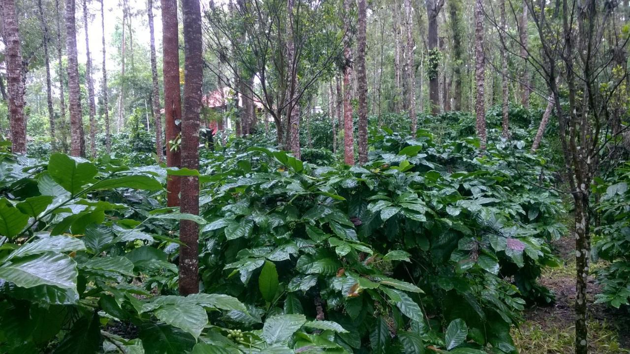 Rai Cottage @ Coorg ,Suntikoppa ภายนอก รูปภาพ
