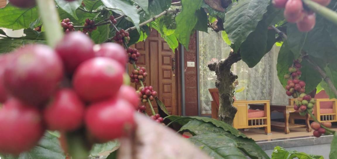 Rai Cottage @ Coorg ,Suntikoppa ภายนอก รูปภาพ