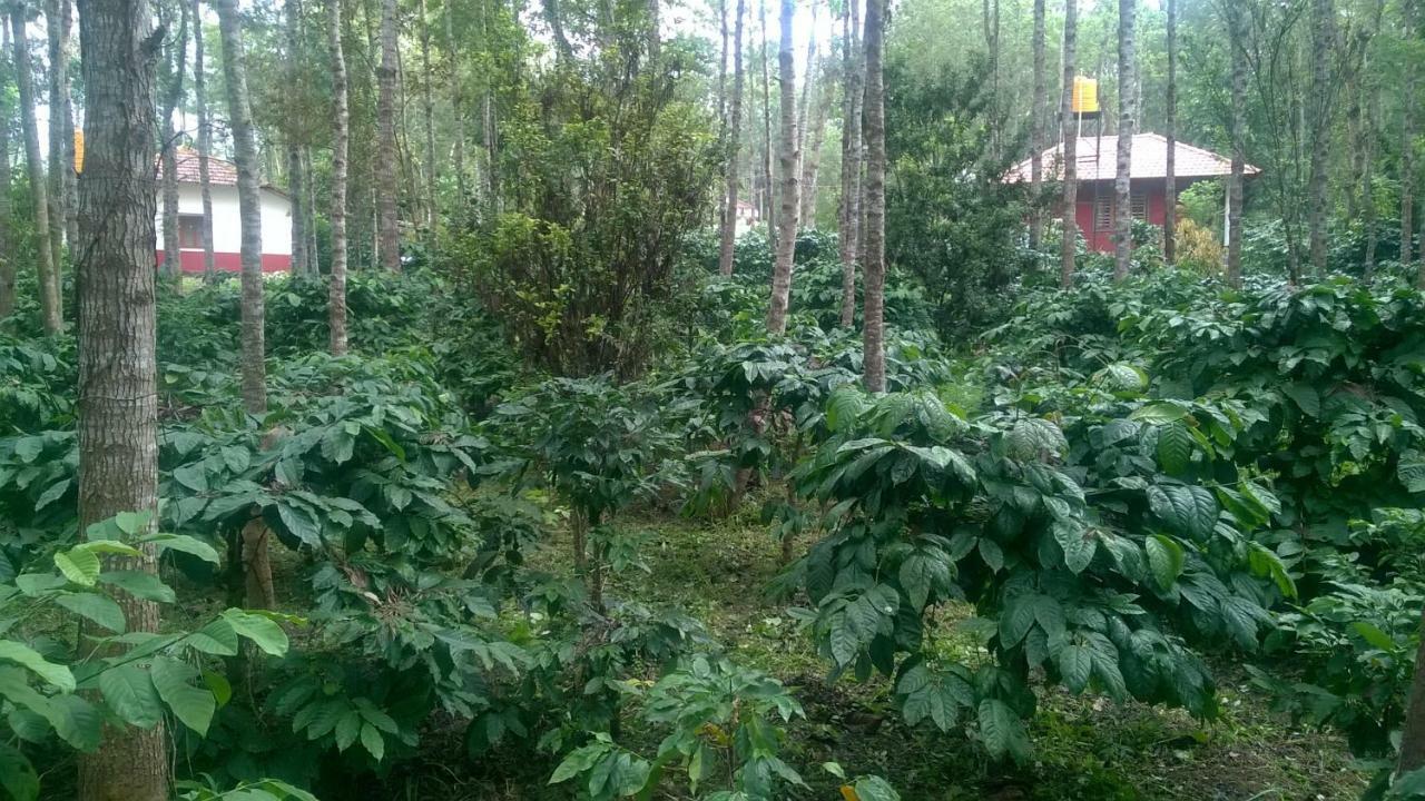 Rai Cottage @ Coorg ,Suntikoppa ภายนอก รูปภาพ