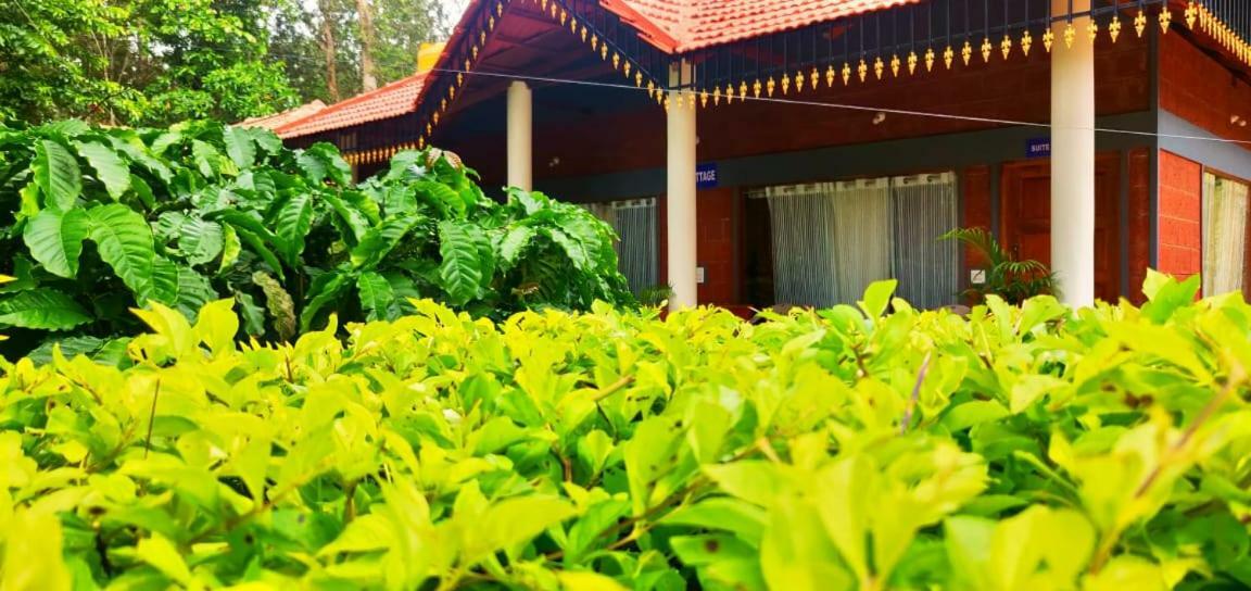 Rai Cottage @ Coorg ,Suntikoppa ภายนอก รูปภาพ